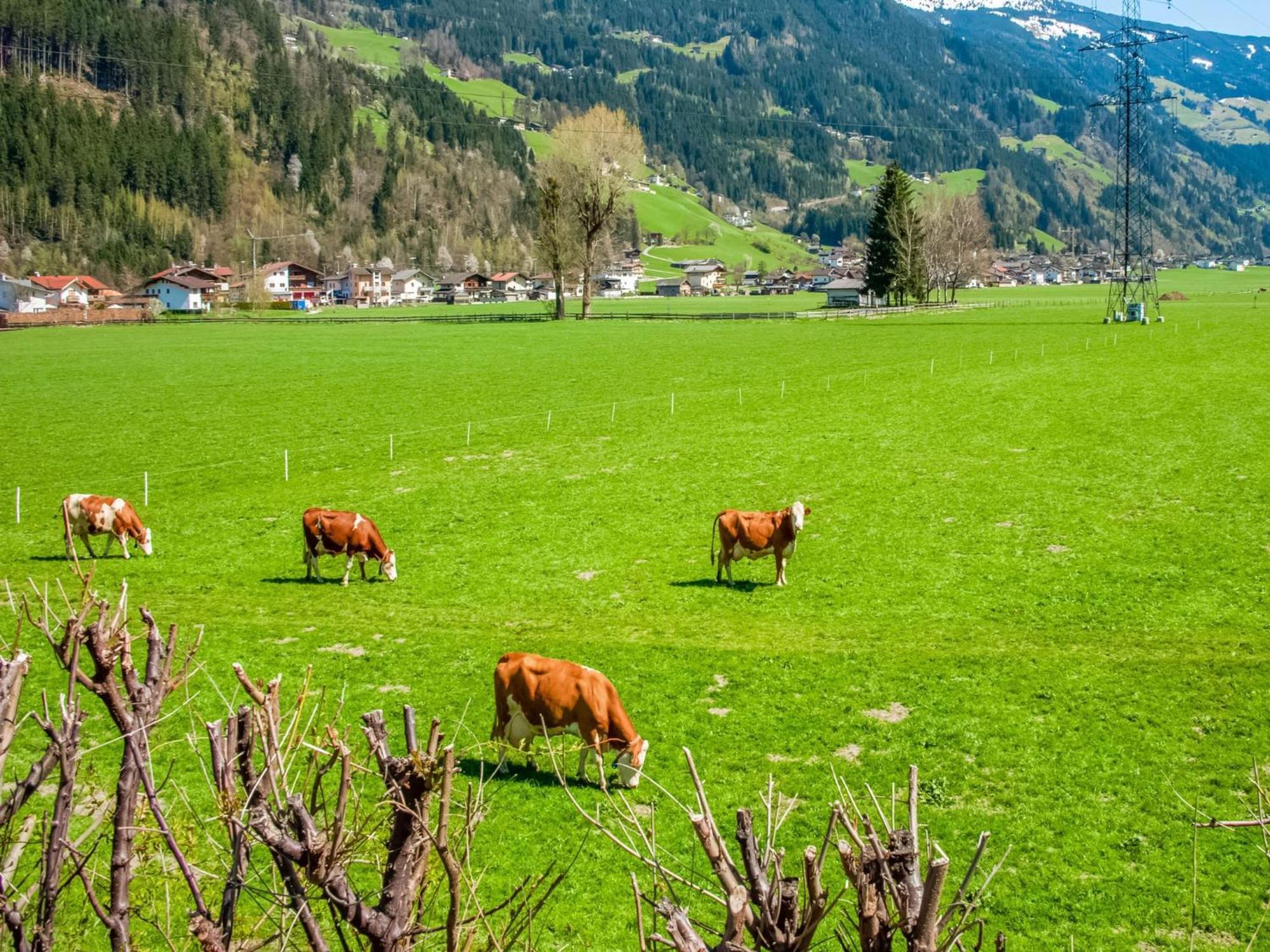 Apartment With Panoramic View Ramsau im Zillertal Exterior foto