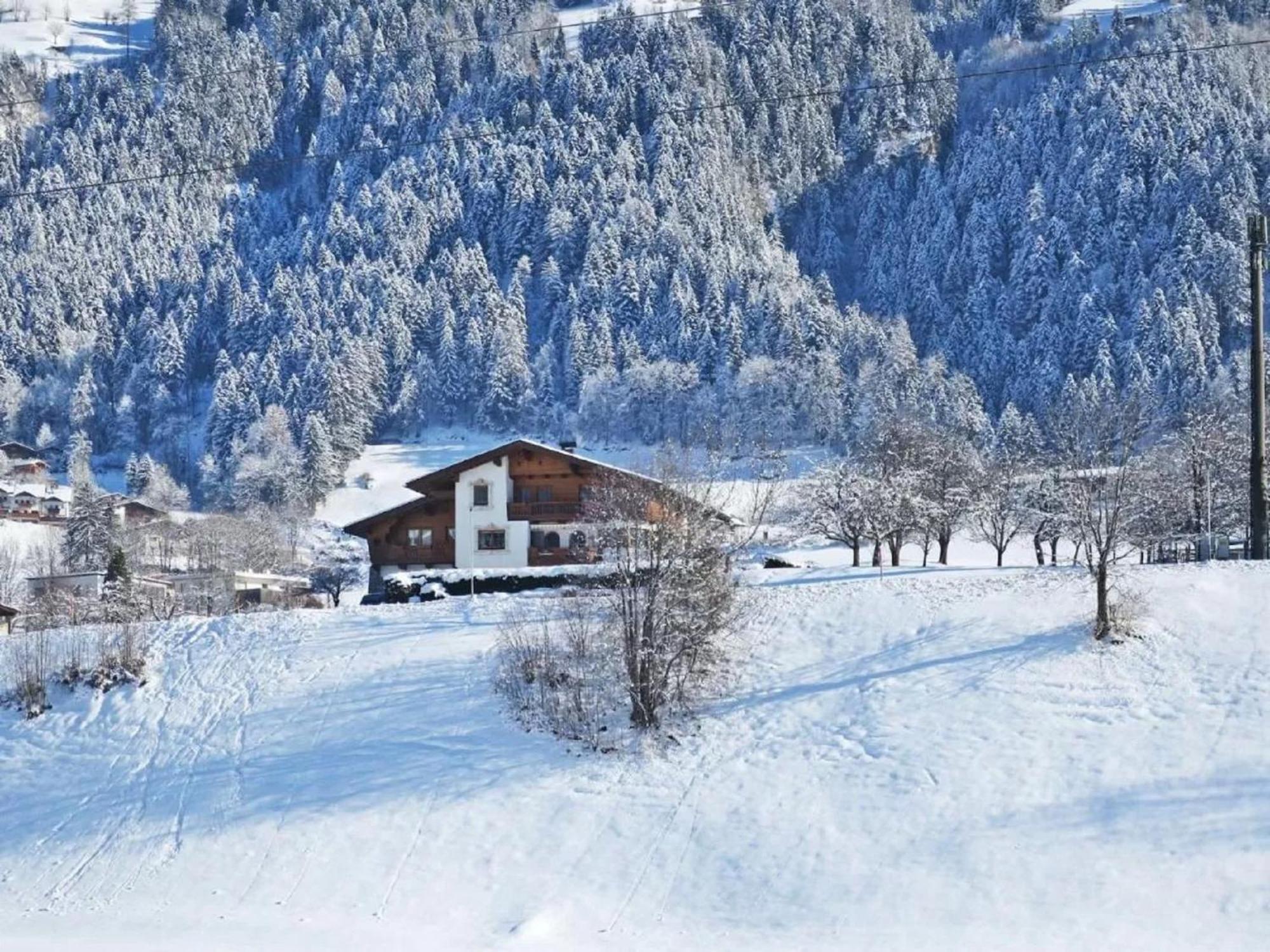 Apartment With Panoramic View Ramsau im Zillertal Exterior foto